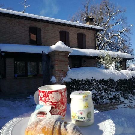 Il Castagneto Bed and Breakfast Camerino Exteriör bild