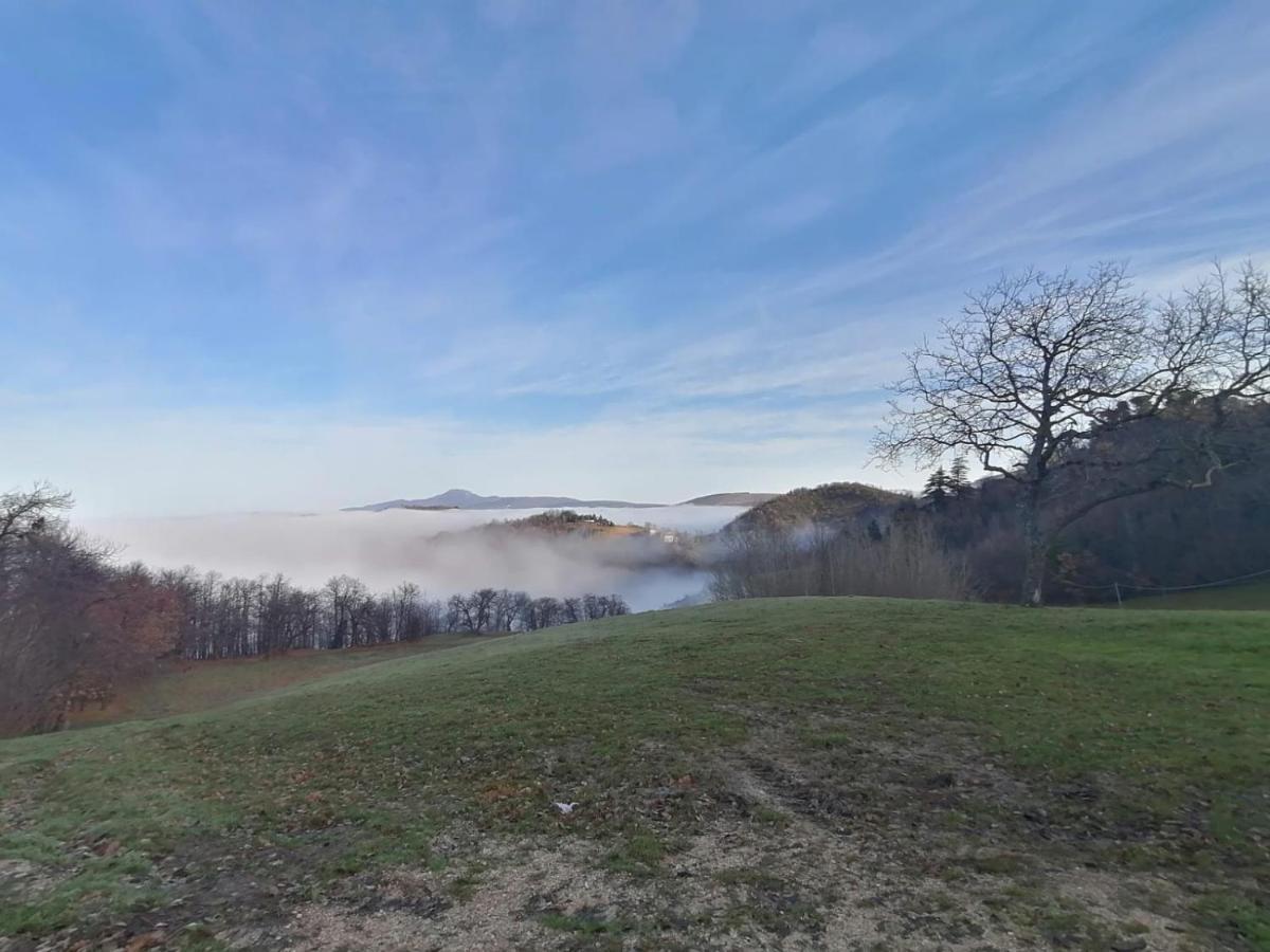 Il Castagneto Bed and Breakfast Camerino Exteriör bild