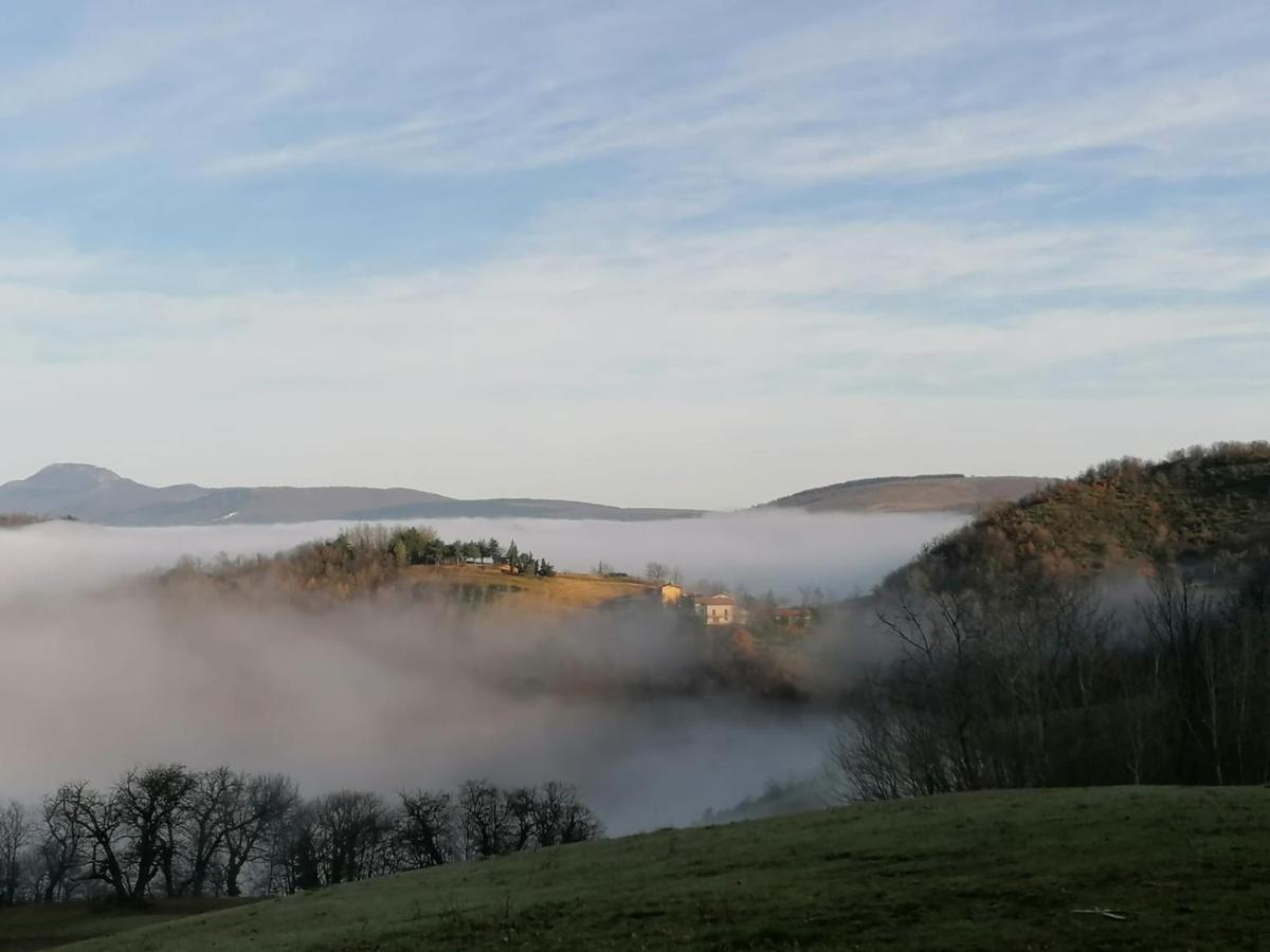 Il Castagneto Bed and Breakfast Camerino Exteriör bild