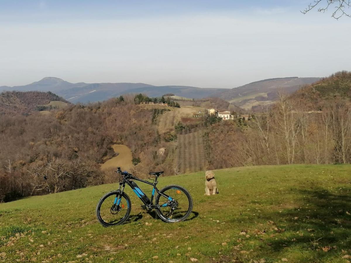 Il Castagneto Bed and Breakfast Camerino Exteriör bild