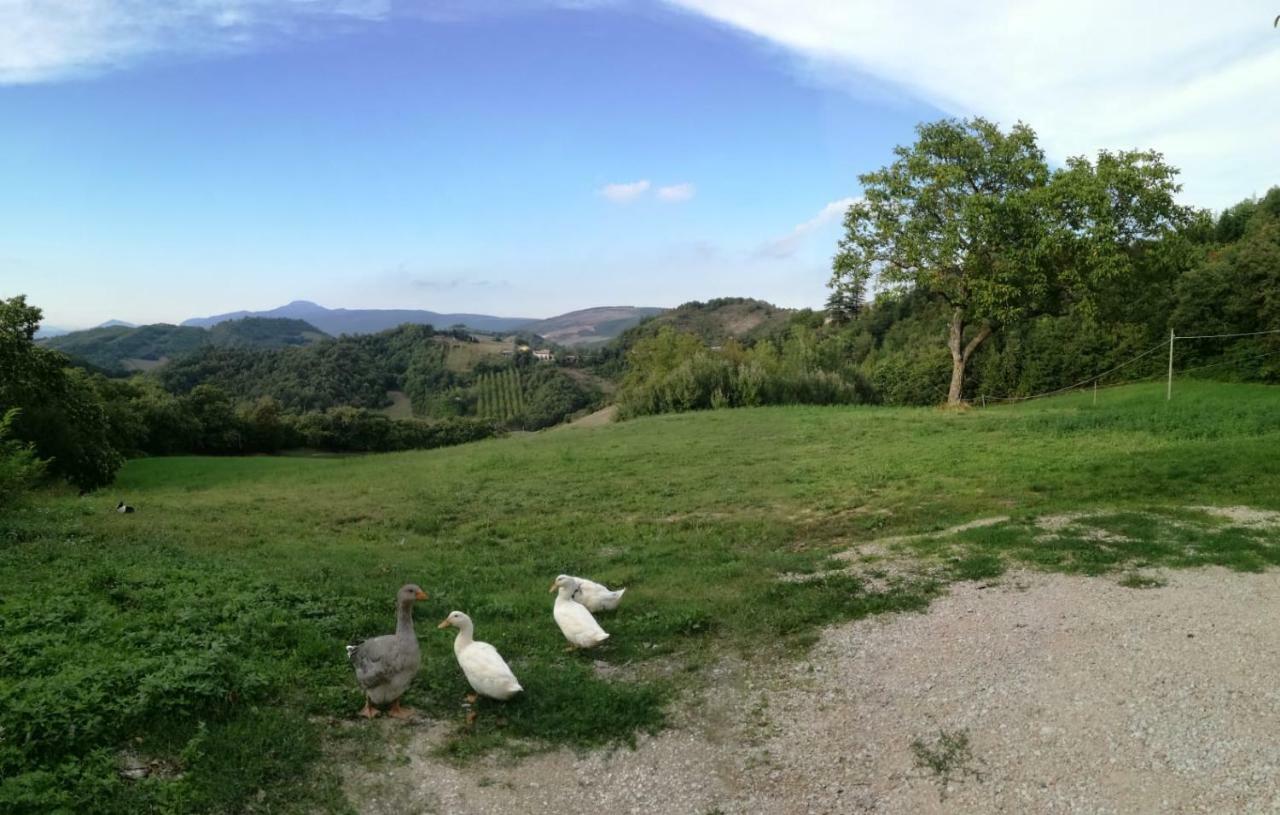 Il Castagneto Bed and Breakfast Camerino Exteriör bild