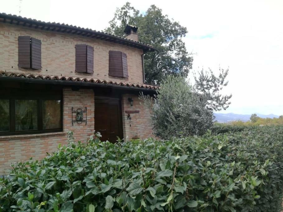 Il Castagneto Bed and Breakfast Camerino Exteriör bild